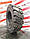 Шина 8.15-15 (28X9-15, 225/75-15) BKT MAGLIFT ECO STD, фото 2