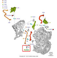 Кільце ущільнювальне FORD FIESTA/FOCUS/CONNECT/C-MAX/PUMA 2013- (1.0 ECOBOOST) ORIGINAL