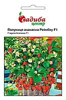 Суниця ананасна Рейнбоу F1, 10 шт., СЦ