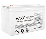 Аварійний комплект живлення Volt Polska SINUS PRO 800 E 12/230V 500/800W + Акумулятор гелевий 4SUN MAXX GEL 120 Ah, фото 3