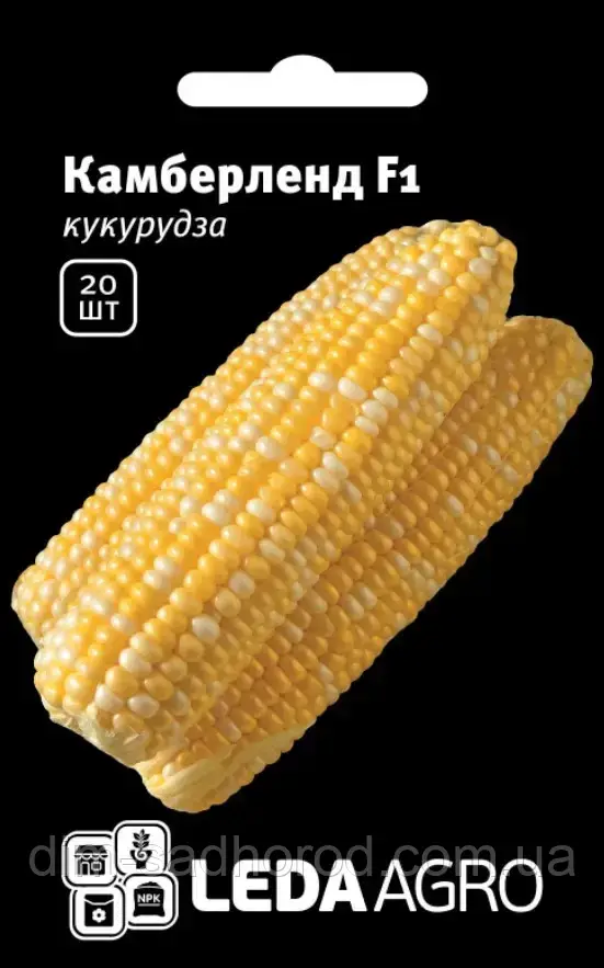 КУКУРУДЗА КАМБЕРЛЕНД F1 20 ШТ LEDA AGRO, фото 1