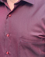 Основний розділ