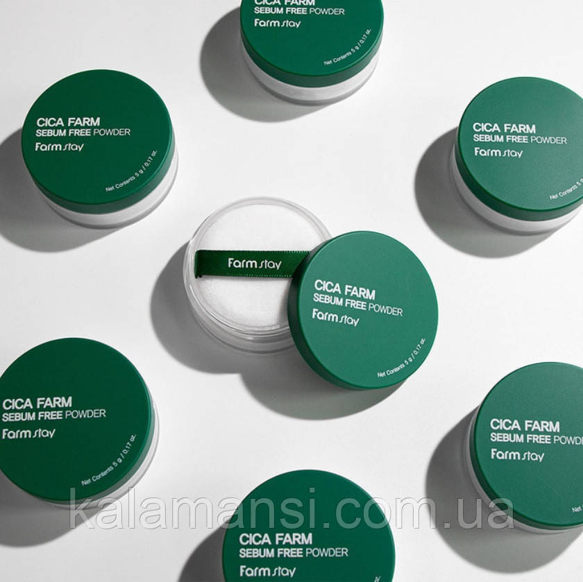 Розсипчаста пудра з центілою Farmstay Cica Farm Sebum Free Powder 5 г