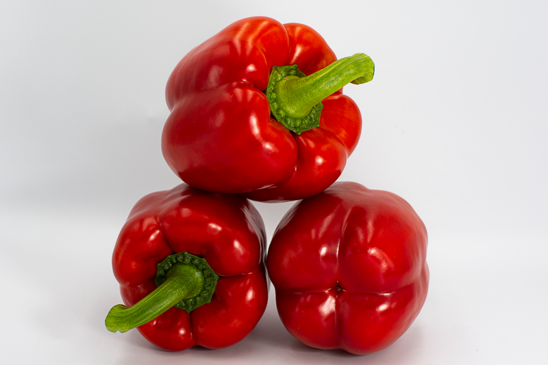 Насіння солодкого перцю Ангус F1 Syngenta 500