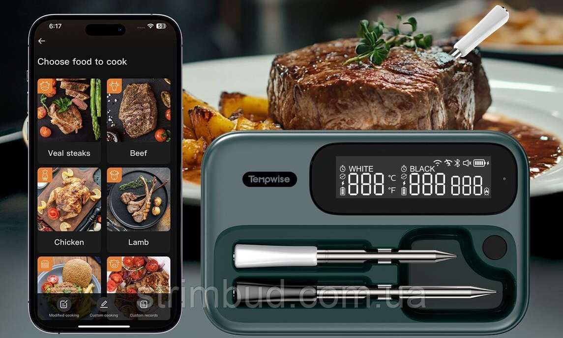 Безпровідний термометр з Wi-Fi з'єднанням Tempwise TNT-2BW, фото 1
