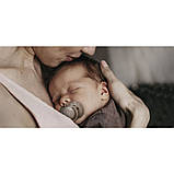 Пустушка динамічна силіконова з мінімалістичним дизайном беж. LOVI Harmony 0-3 міс., 2 шт., фото 6