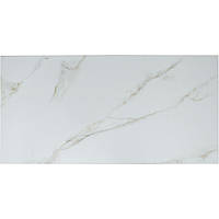 Керамічна панель Teploceramic TCH-RA1000-800179