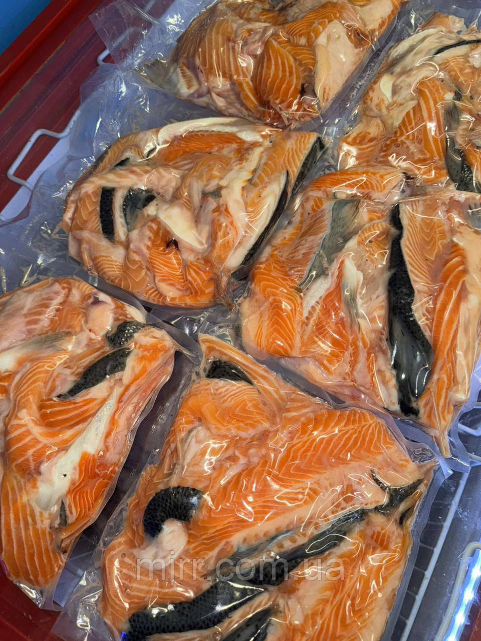 Обрізь червоної риби охолоджена - фото 1 - id-p2375084539