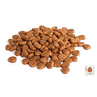 Сухий корм для котів з чутливим травленням BonaCibo Adult Cat Lamb&Rice ягня і рис на вагу 250 г, фото 2