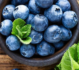 Лохина (чорниця садова) 3-річна "Ліберті" (пізній термін дозрівання)