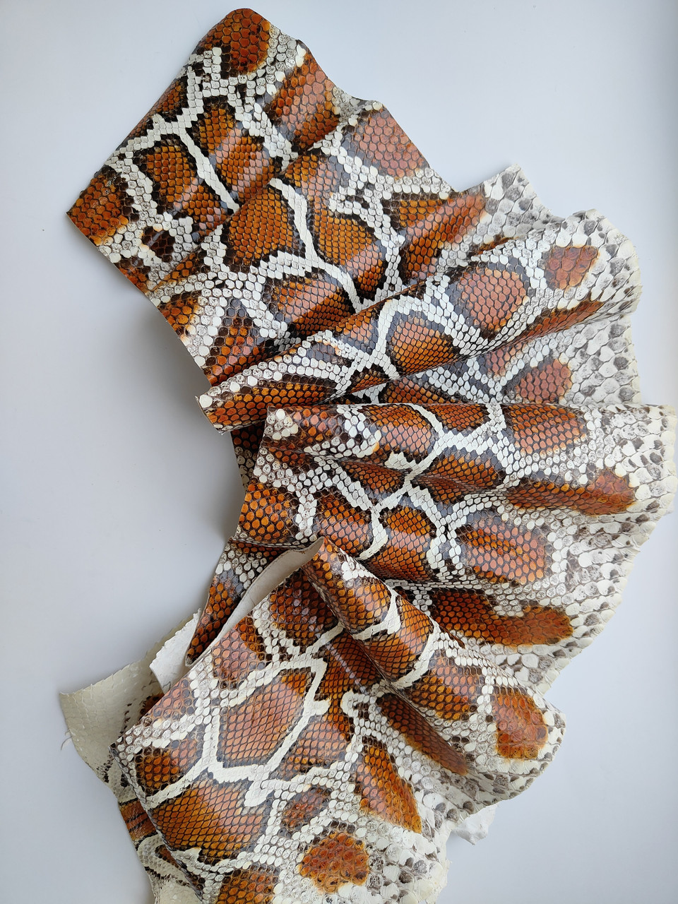 Шкіра кобри, коричнева, 1,25 м.,обрізок, КП058