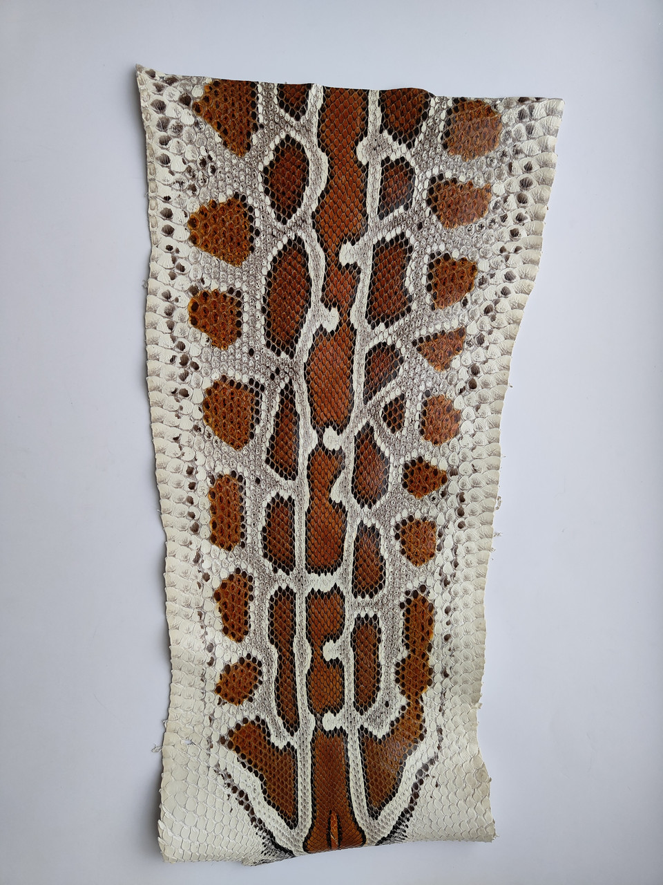 Шкіра кобри, коричнева, 0,35 м.,обрізок, КП061