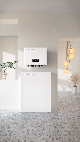 Гібридне рішення для дому Livoltek 3F ALL-IN-ONE 30kw+30kw+BMS+HV adapter, фото 3