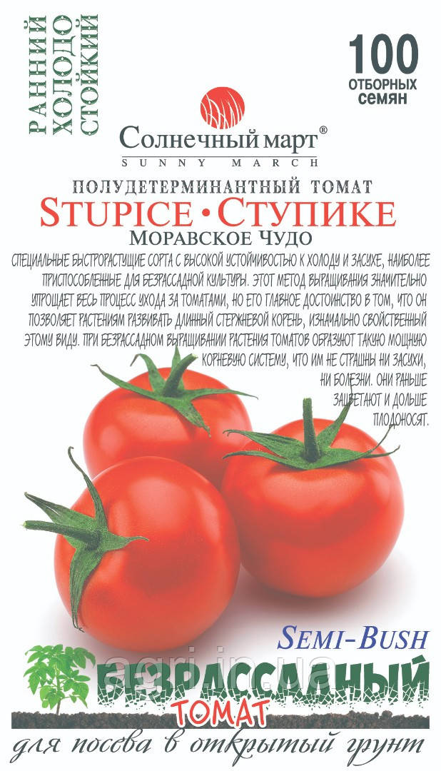 Томат Ступіке, 100шт. (до 11.2024р.)