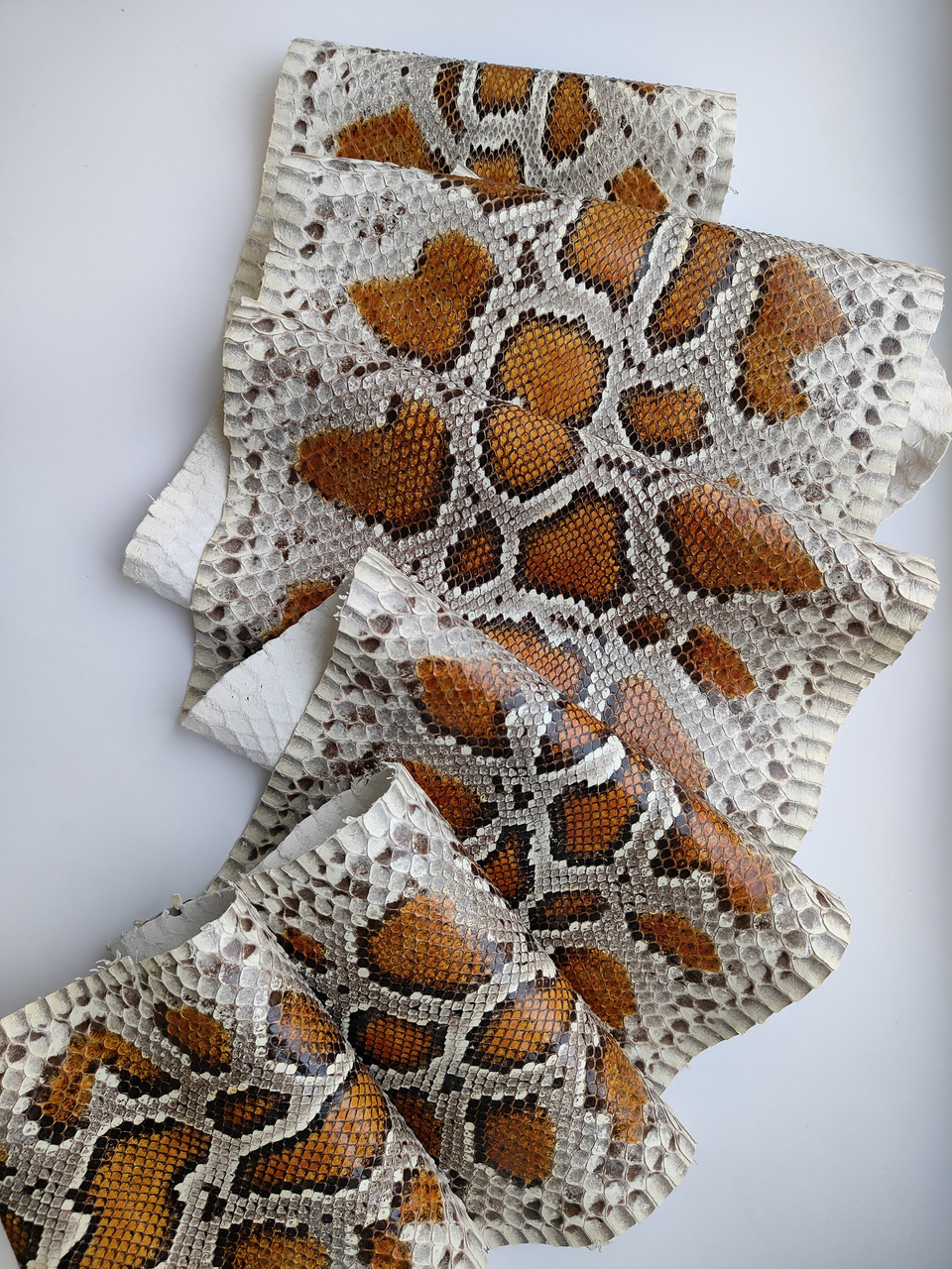 Шкіра кобри, коричнева, 2,2 м., КП066