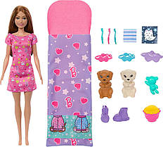 Ігровий набір лялька Барбі зі цуценятами Barbie Doll and 2 Toy Dog Figures HXN01