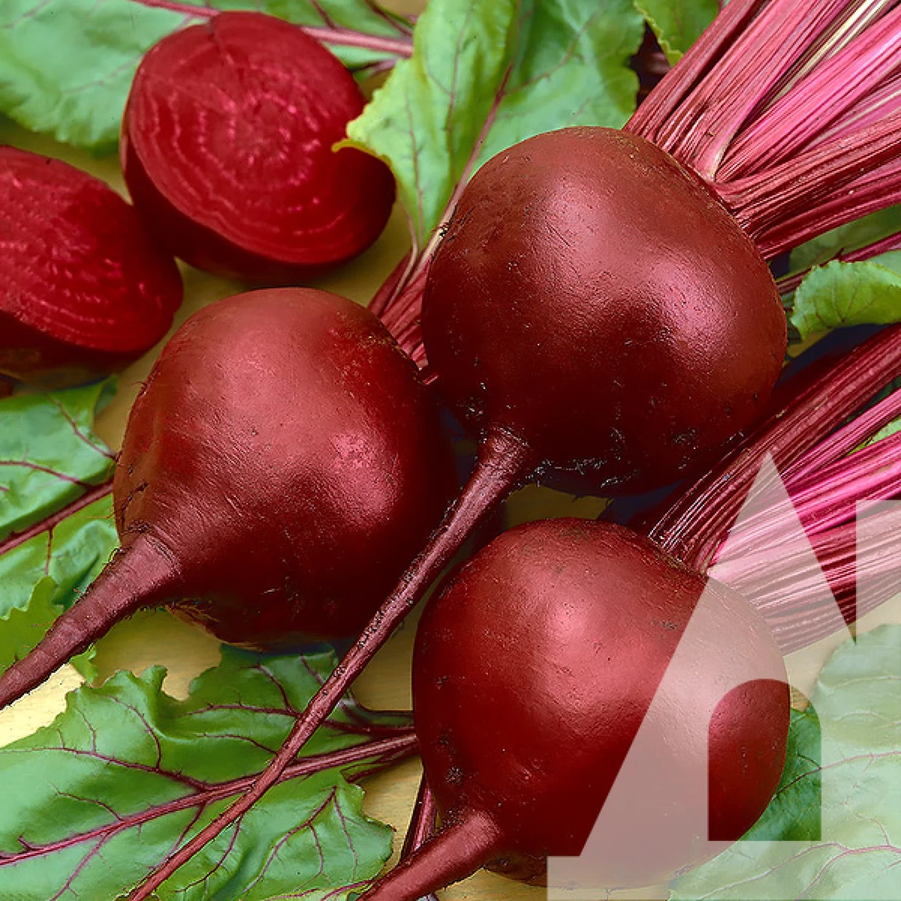 Буряк столовий Бордо 237, 500 г, GSN Semences, фото 1