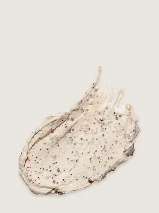 Скраб для тіла Victoria's Secret Pink Superfruit Body Scrub Melon 283 г, фото 3