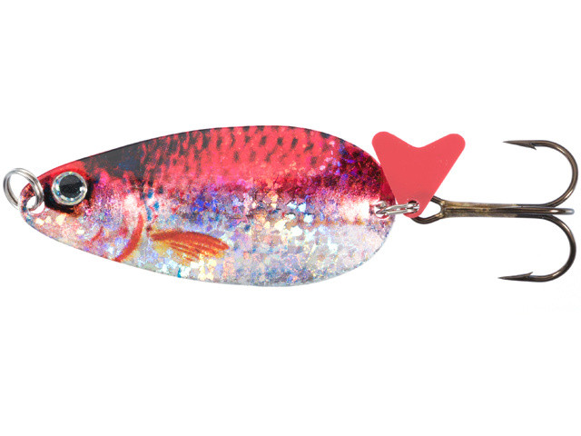 Блешня JAXON Karas Scot 2 R 1шт, фото 1