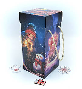 Новорічний подарунок №20 860г. У картонній упаковці.