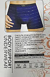 Труси чоловічі "Veenice" (XL-4XL), фото 2