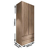 Шафа дводверна Лайт ШЛ-2 з шухлядами, Дуб Сонома, фото 7