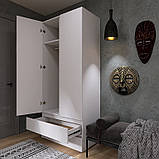 Шафа дводверна Лайт ШЛ-2 з шухлядами, Німфея Альба, фото 5