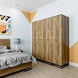 Шафа Art in Head Asсet 900x2000x590 Дуб Бароко бурштиновий Безкштовна Доставка, фото 3