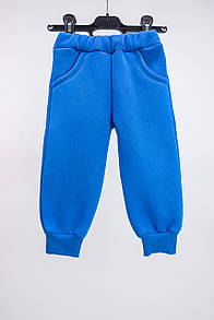 Теплі дитячі штани тринитка