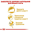 Сухий корм для котів породи персидська Royal Canin (Роял Канін) Persian Adult 2 кг, фото 4