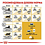 Сухий корм для котів породи персидська Royal Canin (Роял Канін) Persian Adult 2 кг, фото 6