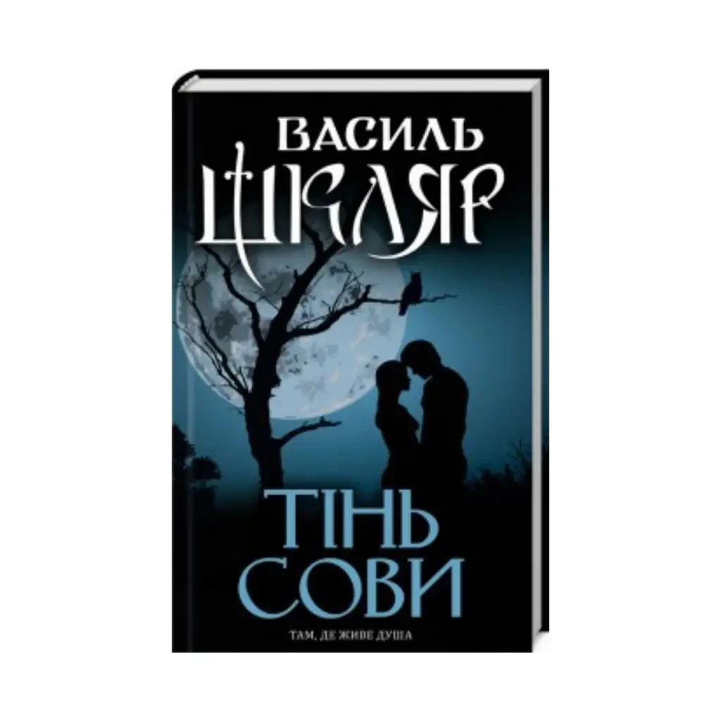 Тінь сови — Василь Шкляр | Клуб Сімейного Дозвілля, книга українською, нова, тверда
