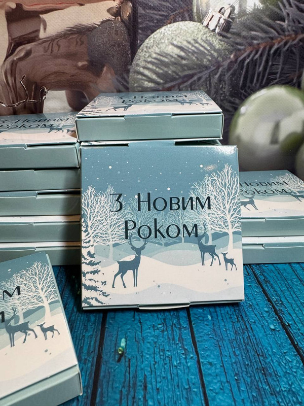 500 шт. Шоколадний подарунок Книга з 2 шоколадками з логотипом для стоматології 4,5 г