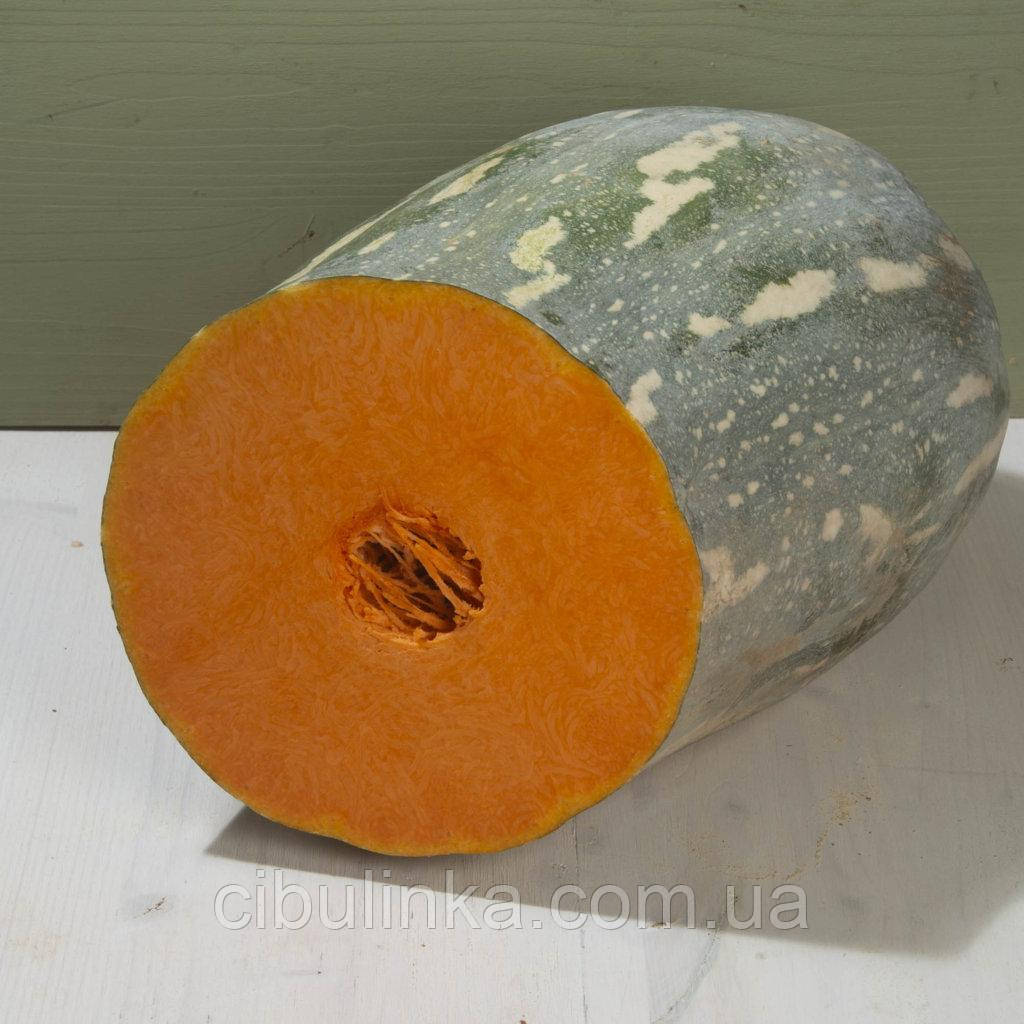 Гарбуз Лонг Неаполь 10 шт / zip-paket, фото 1