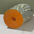 Гарбуз Лонг Неаполь 10 г, фото 4