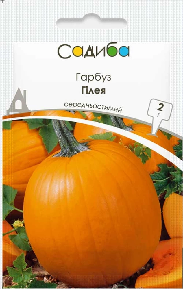 Гарбуз Гілея, 10 г, Садиба