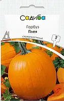 Гарбуз Гілея, 10 г, Садиба