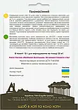 Гарбуз Голонасінний, 10 г., Садиба, фото 2