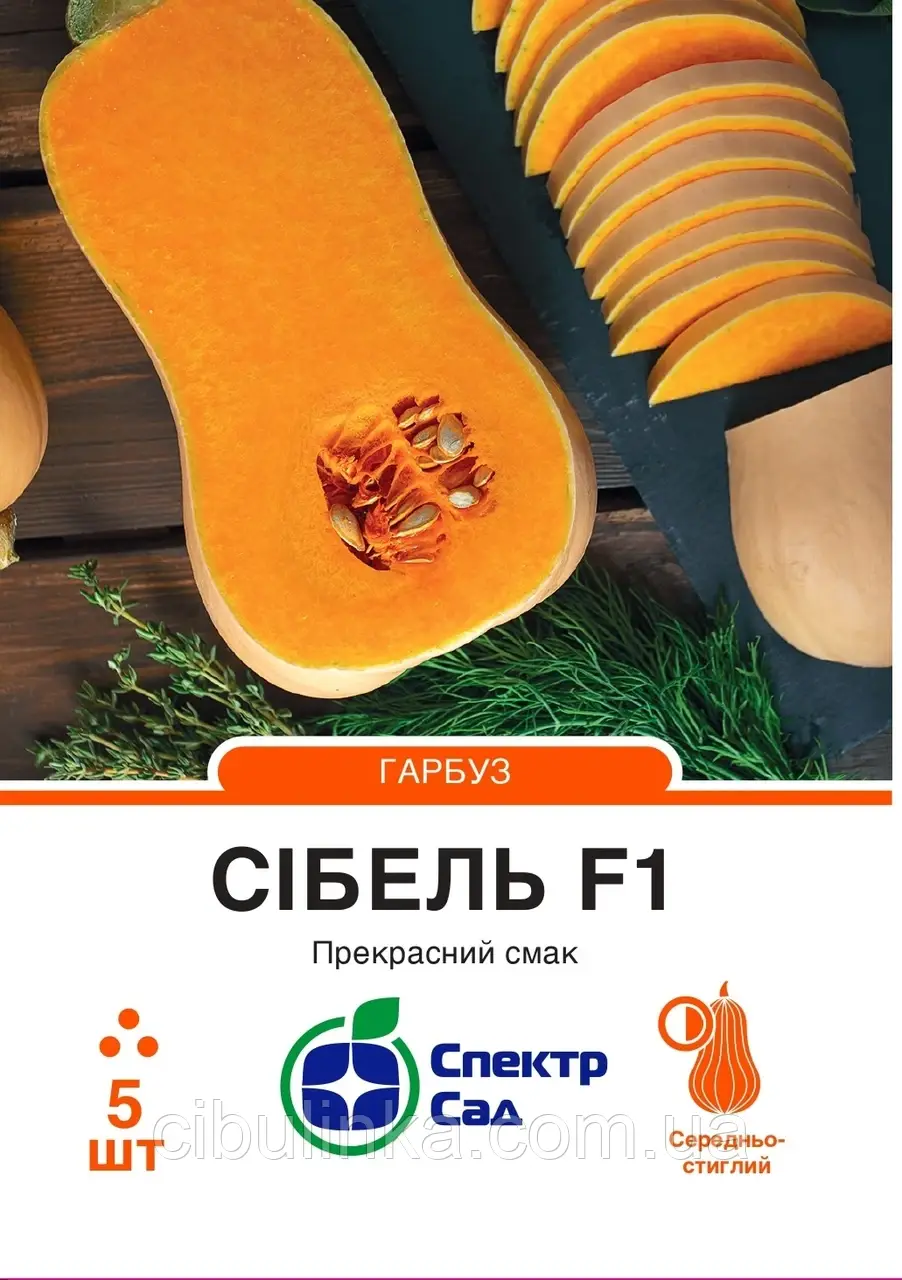 Гарбуз столовий Сібель F1 (2-3 кг) Clause/Франція 5 шт