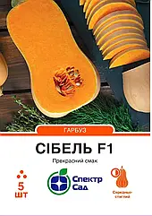 Гарбуз столовий Сібель F1 (2-3 кг) Clause/Франція 5 шт