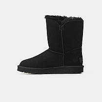 Зимові Жіночі Черевики UGG Short Bailey Button 2 Black / УГГ Класік Міні Бейлі Баттон Чорні, фото 4