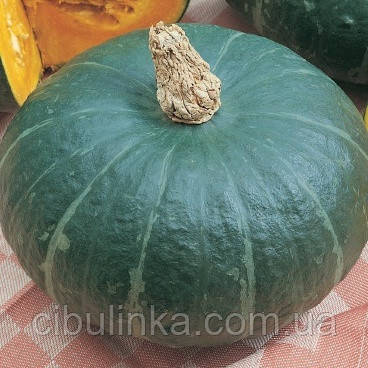 Гарбуз Зимовий солодкий 5 шт (zip-paket), фото 1