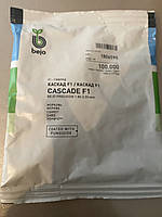 КАСКАД F1 / CASCADE F1 - Морква, Bejo 100тис 1.8-2.0