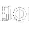 Футорка SD Forte 1/2х1" ЗВ SF3744025, фото 3