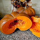 Гарбуз Мускат де Прованс 10 г, фото 3