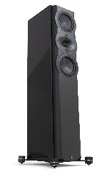 Підлогова акустика Perlisten R5t