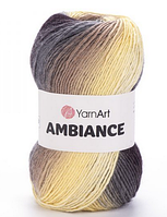 Пряжа Ambiance-151