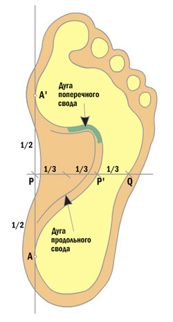 Стельки супинатор ортопедические Strutz Cushioned arch supports - фото 4 - id-p31154814