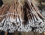 Підщепа Евріка-99. Живець ↔50 см. (Ø8-10 мм). (50 шт)., фото 7