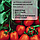 Томат Чіблі F1-  середньостиглий, детермінантний - (10 шт, zip-пакет), фото 4
